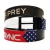 SYNC Performance Training Shorts Birds Of Prey Belt